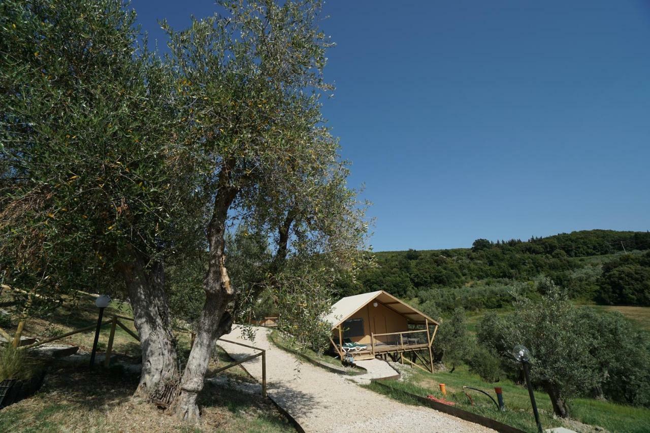 Podere Cortesi Agriturismo Molinaccio Санта-Луче Экстерьер фото